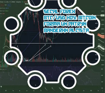 Cotação btc dolar