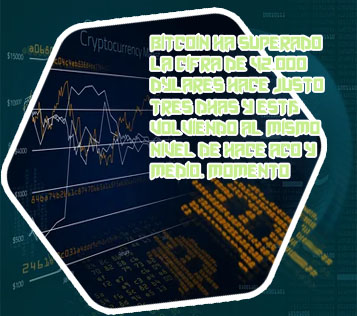 Grafico de las criptomonedas