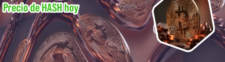 Hash criptomonedas