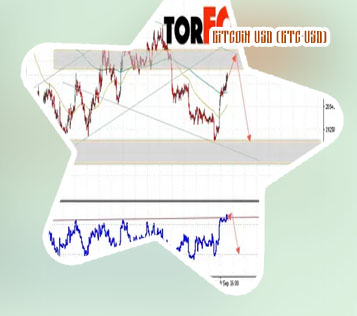 Usd a btc