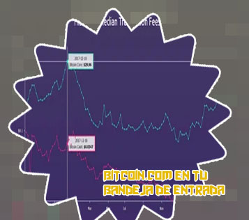 What is the difference between btc and bch